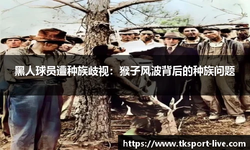 TK体育直播