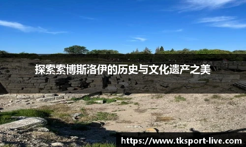 TK体育官网